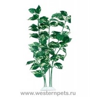 Растение "Тритон" 25 см. /7783/