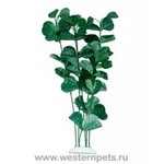 Растение "Тритон" 25 см. /7790/