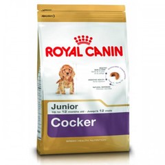 Роял Канин для щенков породы кокер-спаниель в возрасте до 12 мес./Royal Canin Cocker Junior.