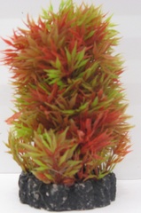Растение "Тритон" 8 см. /8209/