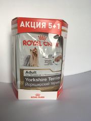 Royal Canin Пауч для собак породы Йоркширский терьер с 10 месяцев