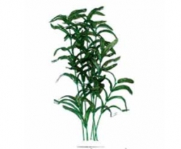 Растение "Тритон" 25 см. /8193/