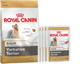 Royal Canin для Йоркширских терьеров