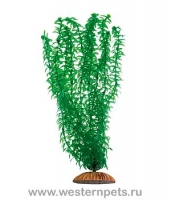 Растение "Тритон" 34 см. /3451/